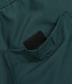 Carhartt Chase Swim Trunks - Botanic / Gold -FLATSPOT Sales carhartt chase swim trunks botanic gold 8